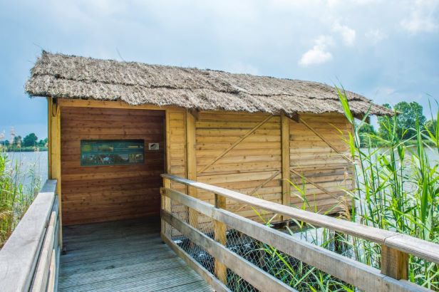 Le printemps des ENS à l’étang de Pontoux : les chants des oiseaux.